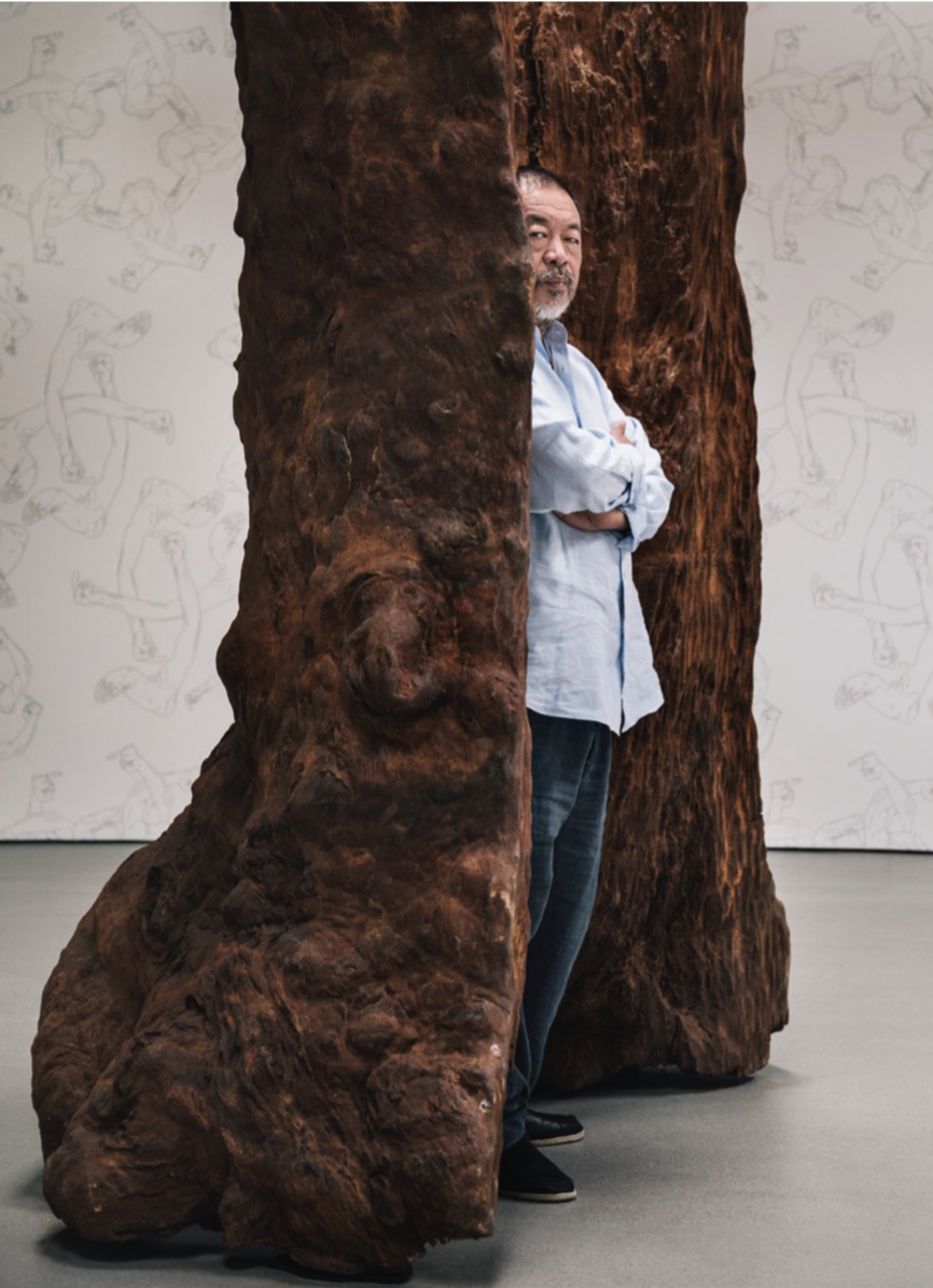 Ai Weiwei · Marisa Mazria Katz